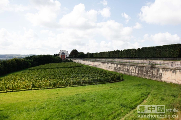 圣日耳曼昂莱森林(St Germain en Laye) 圣日耳曼昂莱森林(St Germain en Laye)