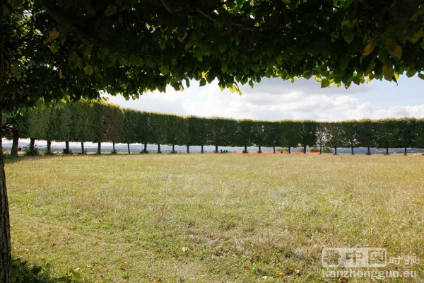 图片说明 图片说明