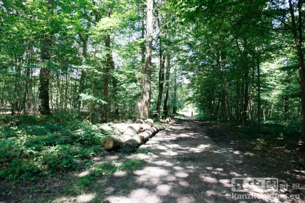 图片说明 图片说明