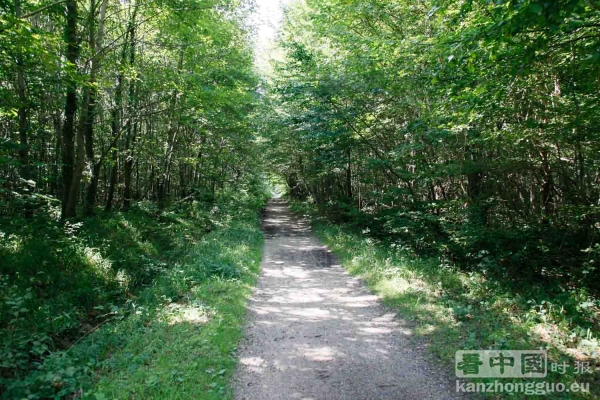 图片说明 图片说明