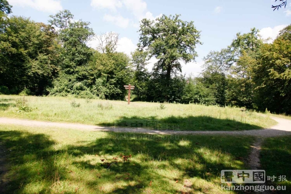 图片说明 图片说明