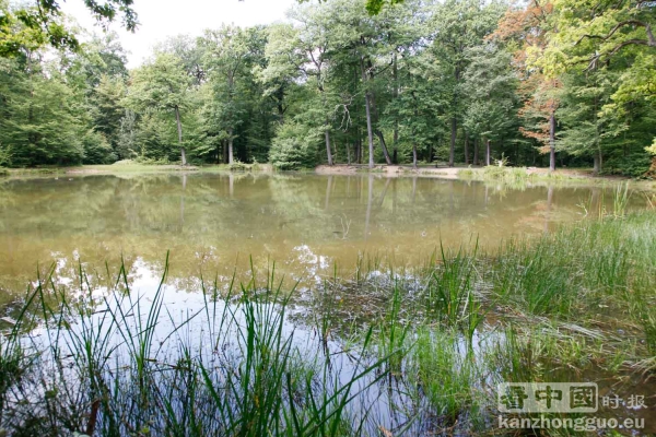 圣日耳曼昂莱森林(St Germain en Laye) 圣日耳曼昂莱森林(St Germain en Laye)