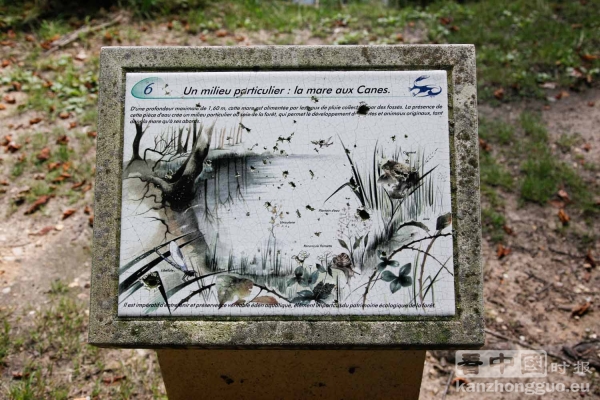 圣日耳曼昂莱森林(St Germain en Laye) 圣日耳曼昂莱森林(St Germain en Laye)