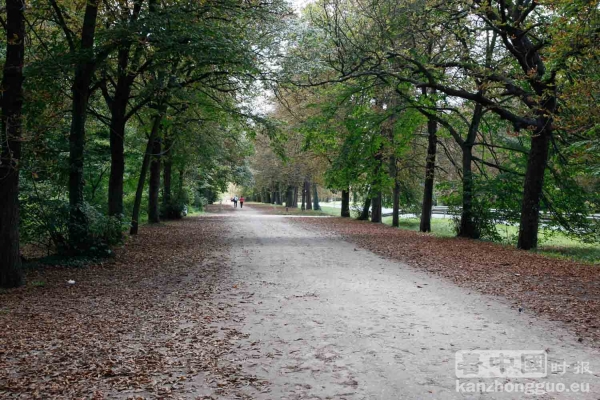 圣日耳曼昂莱森林(St Germain en Laye) 圣日耳曼昂莱森林(St Germain en Laye)