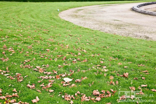 漫步香舒芒城堡花园 (Chateau de Champs-sur-Marne) 漫步香舒芒城堡花园 (Chateau de Champs-sur-Marne)