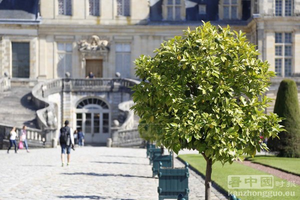 枫丹白露城堡公园 (Fontainebleau) 枫丹白露城堡公园 (Fontainebleau)