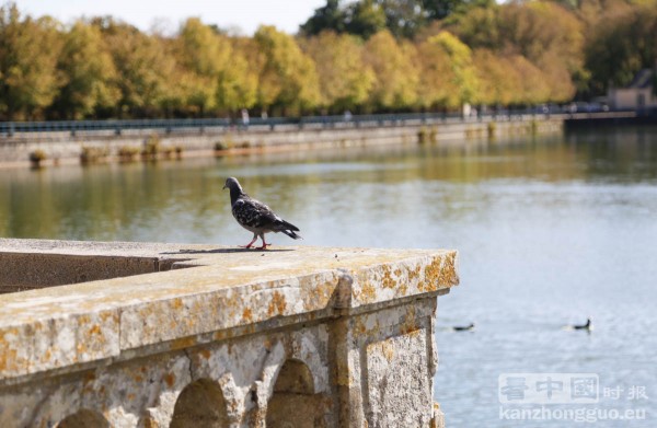 图片说明 图片说明