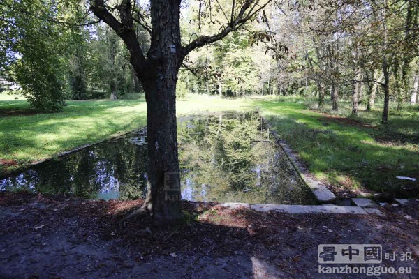 图片说明 图片说明