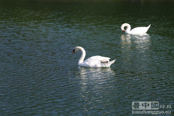 枫丹白露城堡公园 (Fontainebleau) 枫丹白露城堡公园 (Fontainebleau)