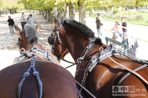 枫丹白露城堡公园 (Fontainebleau) 枫丹白露城堡公园 (Fontainebleau)