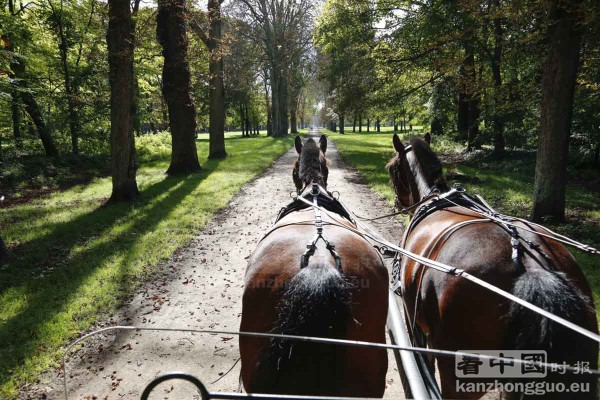 枫丹白露城堡公园 (Fontainebleau) 枫丹白露城堡公园 (Fontainebleau)