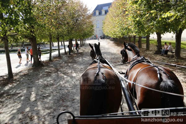 枫丹白露城堡公园 (Fontainebleau) 枫丹白露城堡公园 (Fontainebleau)