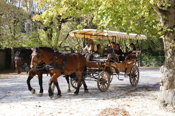 枫丹白露城堡公园 (Fontainebleau) 枫丹白露城堡公园 (Fontainebleau)