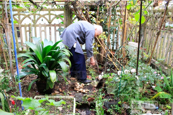 萍姑的“世外桃源”(摄影:林莲怡/看中国) 萍姑的“世外桃源”(摄影:林莲怡/看中国)