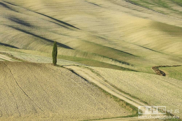 意大利世外桃源——托斯卡纳(Toscane)