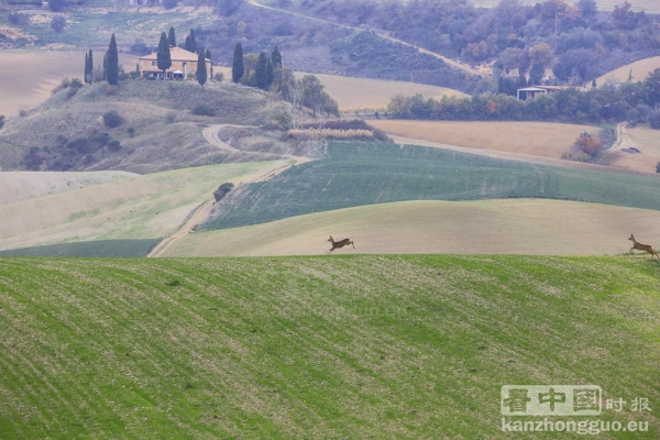 意大利世外桃源——托斯卡纳(Toscane)