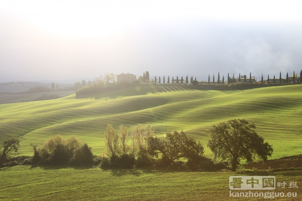意大利世外桃源——托斯卡纳(Toscane)