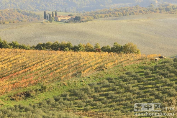 意大利世外桃源——托斯卡纳(Toscane)