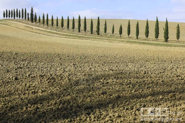 意大利世外桃源——托斯卡纳(Toscane)