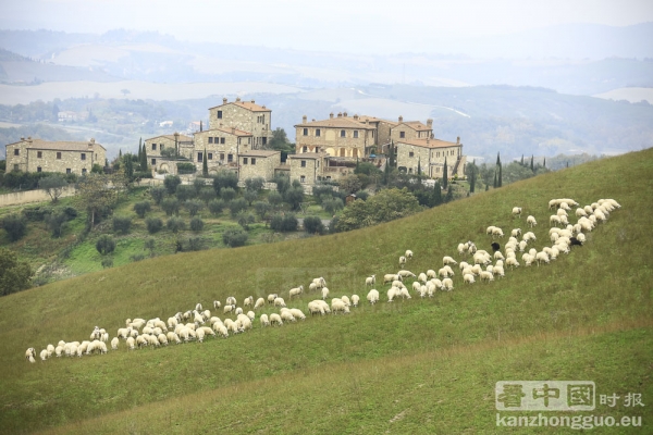 意大利世外桃源——托斯卡纳(Toscane)