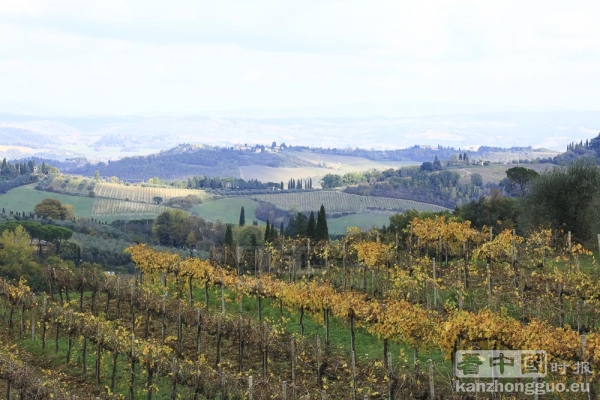 意大利世外桃源——托斯卡纳(Toscane)
