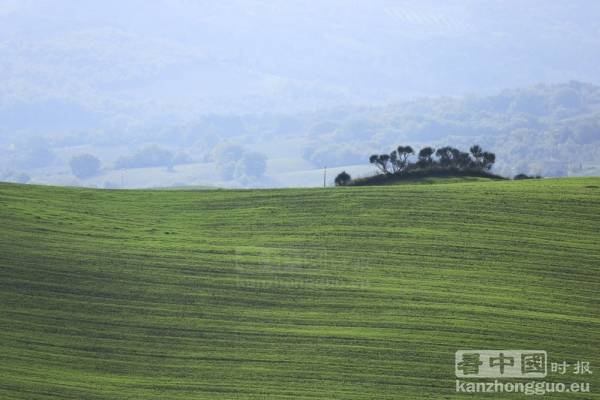 意大利世外桃源——托斯卡纳(Toscane)