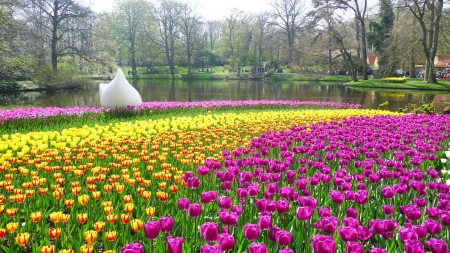 图片说明 图片说明