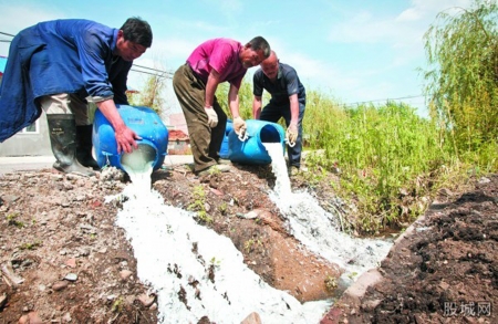 全国各地每天被倒掉的鲜奶数量难以估计。(网络图片) 全国各地每天被倒掉的鲜奶数量难以估计。(网络图片)