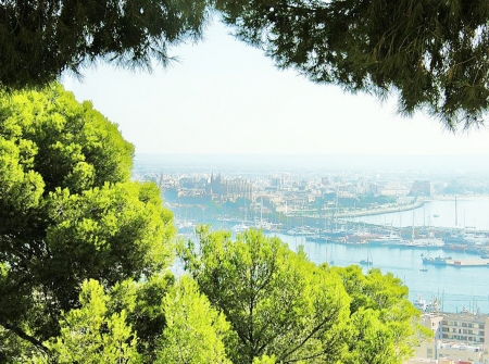 帕尔马城(维基百科)