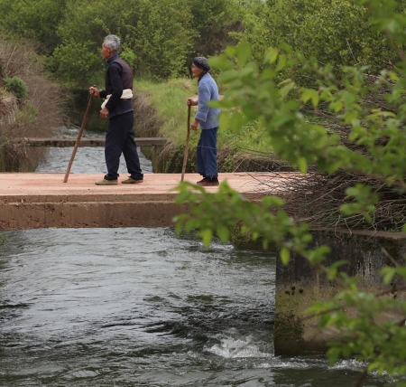 老夫老妻相伴出门。(网络图片) 老夫老妻相伴出门。(网络图片)