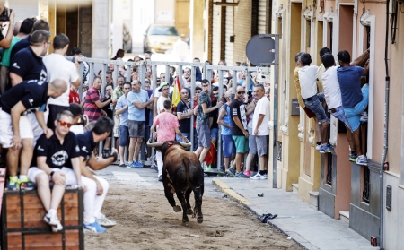 西班牙奔牛节场景，参与者和观看者看着一头公牛从街道穿过。（AFP/Getty Images）