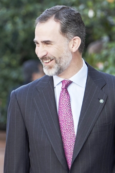 图为参观Thyssen-Bornemisza 博物馆时的费利佩六世国王。 图为参观Thyssen-Bornemisza 博物馆时的费利佩六世国王。