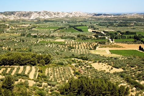 莱博山谷(Culturespaces/C.Recoura/维基百科) 莱博山谷(Culturespaces/C.Recoura/维基百科)