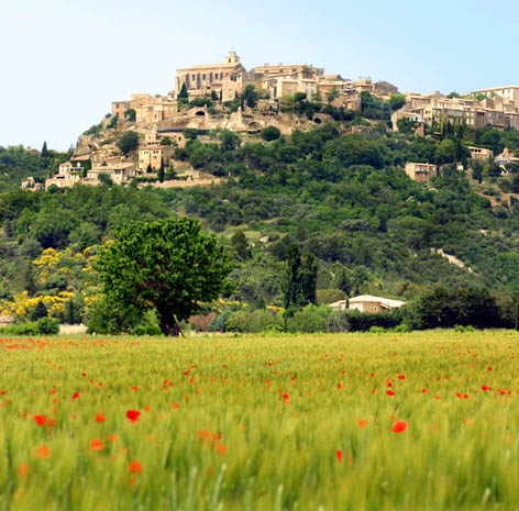 石头镇戈尔德(Jean-Marc ROSIER/维基百科) 石头镇戈尔德(Jean-Marc ROSIER/维基百科)