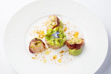 蓝绿龙虾 蓝绿龙虾