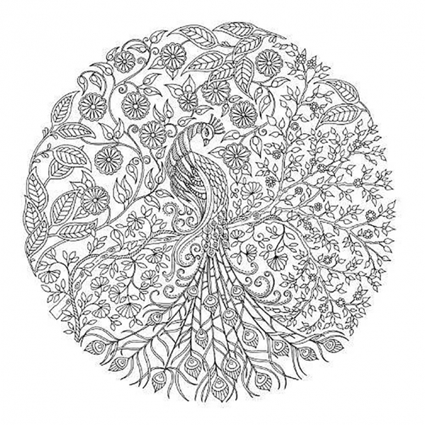 其中有一页原图原来是像左边这样子的。读者涂色后就成了下面的样子了。（网络图片）