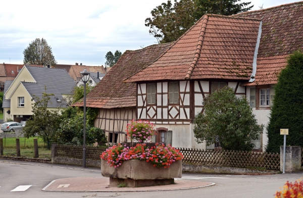 阿尔萨斯的木骨架房屋(AFP/Getty Images)