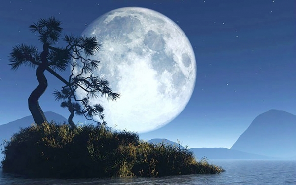 (网络图片) (网络图片)