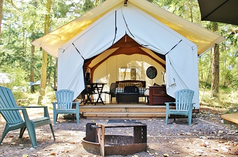 位于树林中的“富有魅力的露营”   （Glamping）（123RF）