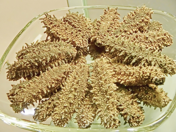 干海参(维基百科) 干海参(维基百科)