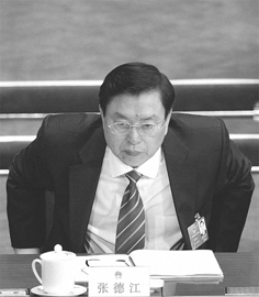 张德江(网络图片)