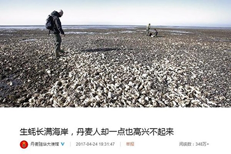 丹麦驻京大使馆贴文(截图) 丹麦驻京大使馆贴文(截图)