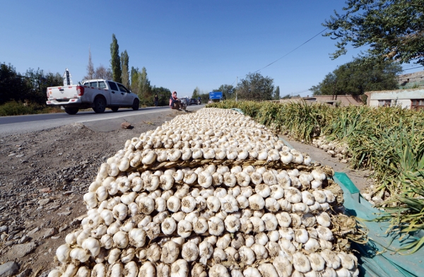 山东金乡一大蒜市场(Getty Images) 山东金乡一大蒜市场(Getty Images)