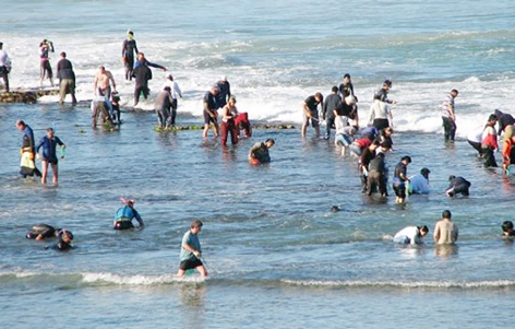 澳洲2018鲍鱼季吸引了上万人。