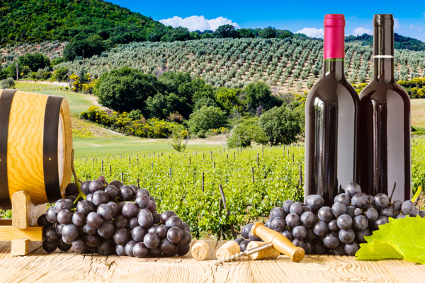 西班牙玫瑰葡萄酒(Vino Rosado Español)(123RF) 西班牙玫瑰葡萄酒(Vino Rosado Español)(123RF)