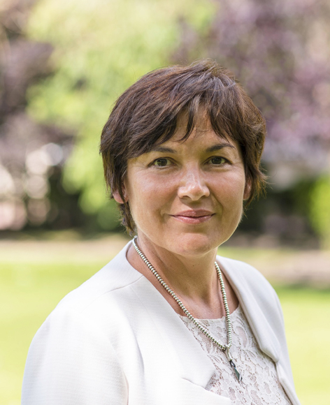 法国海外部长吉拉尔丹（维基百科）