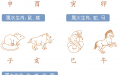 干支生肖与五行