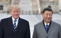 习近平公开称川普是他的朋友，引起外界讨论。（Getty Images）