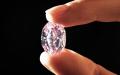 重达14.83克拉的粉钻“玫瑰花魂”  （FABRICE COFFRINI/AFP/Getty      Images）