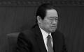 周永康被民间称为“百鸡王”与“人权恶棍”。（图片来源：Getty Images）